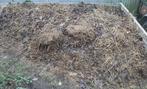 Gratis paarden mest, Ophalen, Mest