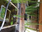 Vijver in ibc, Tuin en Terras, Ophalen, Gebruikt