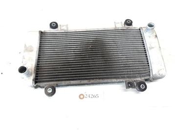 ninja 250R 2008 - 2012 Kawasaki Radiator D1-53341 beschikbaar voor biedingen