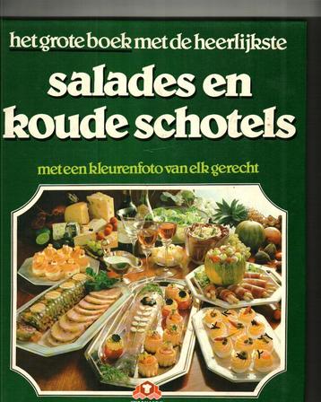 Het grote boek met de heerlijkste salades en koude schotels beschikbaar voor biedingen