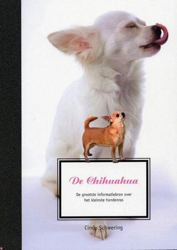  De Chihuahua / CindySchering beschikbaar voor biedingen