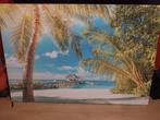 Canvas -120x180 cm, Palmbladeren Hangend voor Tropisch Eilan, Schilderij, 125 cm of meer, Zo goed als nieuw, Ophalen