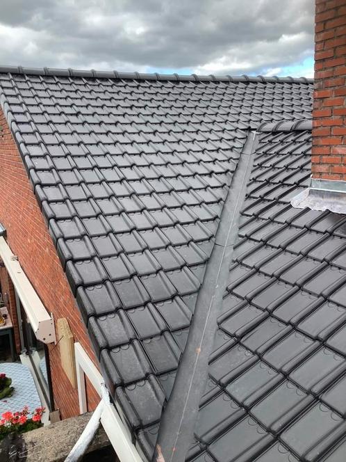Dakbedekkingsservice alle soorten a-z & Facade, Doe-het-zelf en Bouw, Gereedschap | Machine-onderdelen en Toebehoren, Ophalen of Verzenden