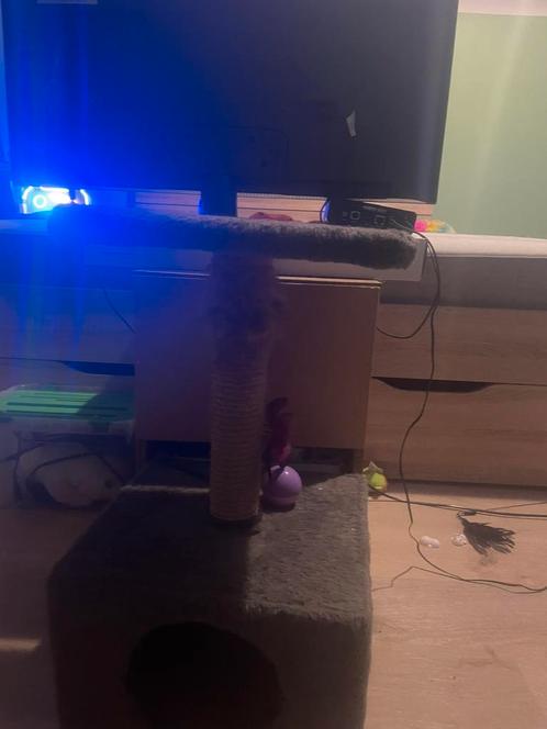 2 tijgerkatjes te koop zie beschrijving voor meer informatie, Dieren en Toebehoren, Katten en Kittens | Raskatten | Korthaar, Poes
