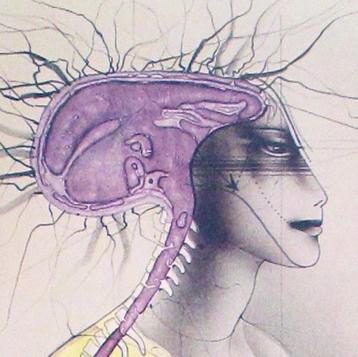 Zeldzame proefdruk “Neurology” - P. Wunderlich, Enlèvement ou Envoi