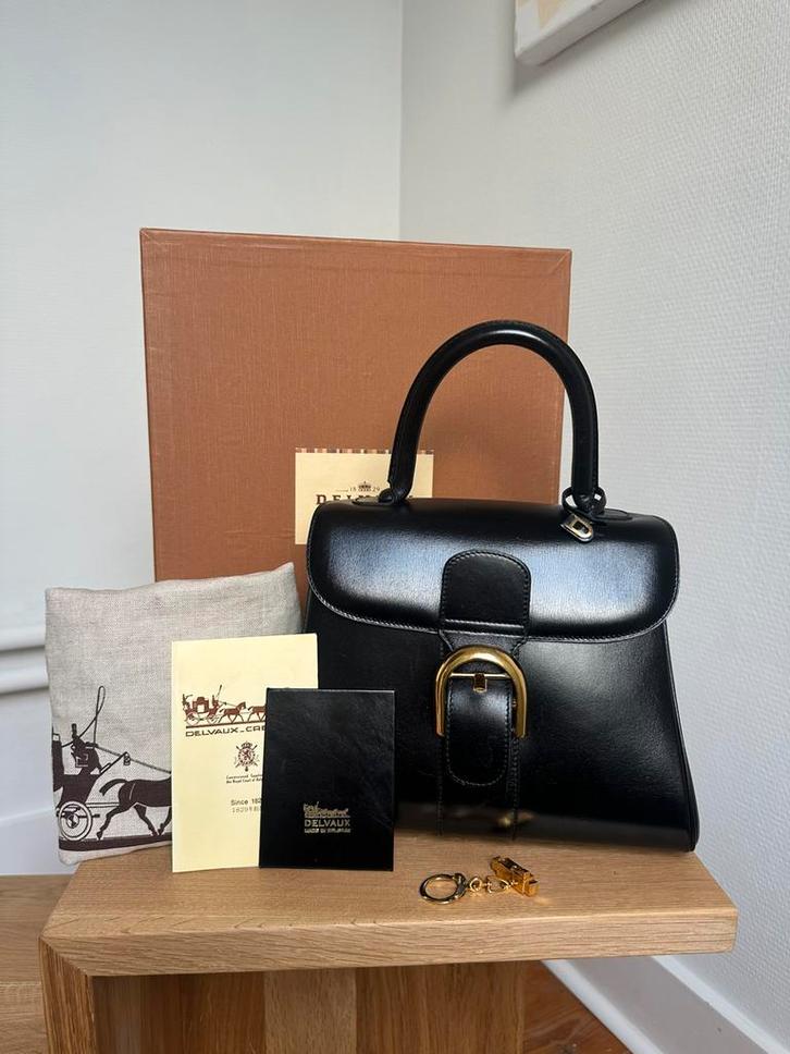 Delvaux Brillant PM uitzonderlijk full set, Handtassen en Accessoires, Tassen | Damestassen, Zo goed als nieuw, Handtas, Ophalen