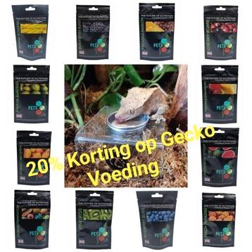 14 zeer geliefde Gecko Voeding veel smaken, Gekkodieet beschikbaar voor biedingen