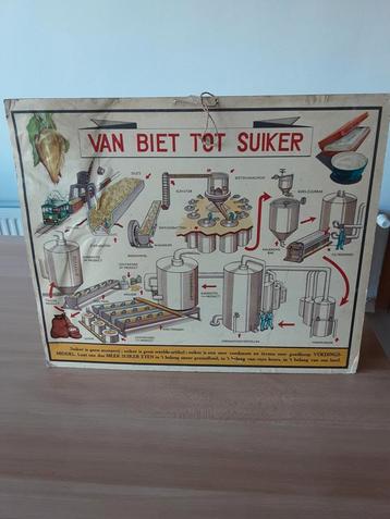 Schoolplaat  beschikbaar voor biedingen