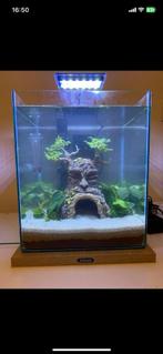 Mooie aquarium 18,7 l, Ophalen, Zo goed als nieuw, Leeg aquarium