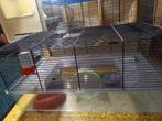 Ferplast hamsterkooi Fevola, Enlèvement, Utilisé, Cage, Moins de 60 cm