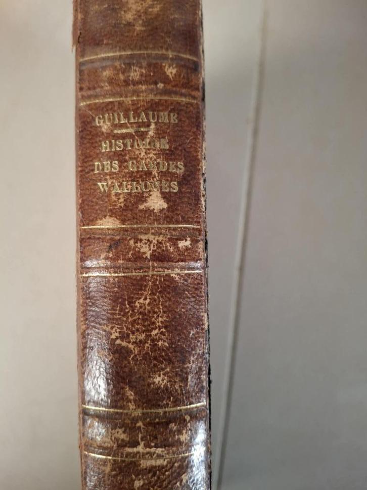 Geschiedenis van de Waalse bewakers in dienst van de Spaanse, Boeken, Geschiedenis | Stad en Regio, Gelezen, 19e eeuw, Ophalen of Verzenden