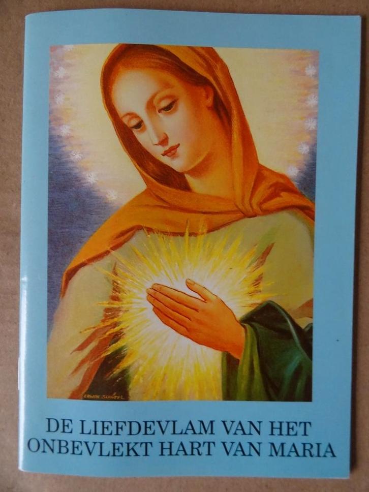 De Liefdevlam van het onbevlekt hart van Maria 1994 Zeldzaam, Boeken, Godsdienst en Theologie, Zo goed als nieuw, Christendom | Katholiek