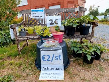 Graslelies, boshyacinten, sierfruitplanten, boompjes, enz..., Enlèvement