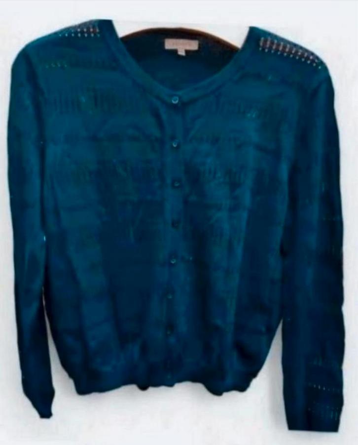 ✨️KORTING‼️BEL&BO Vestje Maat XL valt als L✨️, Kleding | Dames, Truien en Vesten, Zo goed als nieuw, Maat 42/44 (L), Blauw, Ophalen of Verzenden