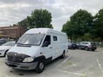 Mercedes Sprinter 313CDI maxi, 4 cilinders, Wit, Mercedes-Benz, 96 kW