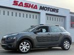 Citroën C4 Cactus 1.2 Benzine | Nieuwe D-Riem | 12MGarantie, Autos, Citroën, Argent ou Gris, Achat, Euro 6, Entreprise