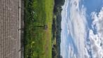 Bouwgrond, BELGIQUE, 500 tot 1000 m²