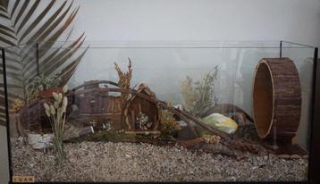 80x40x40 Terrarium zonder schuifruiten  beschikbaar voor biedingen