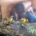 Te koop. Aquarium  compleet met kast, filter en toebehoren., Ophalen