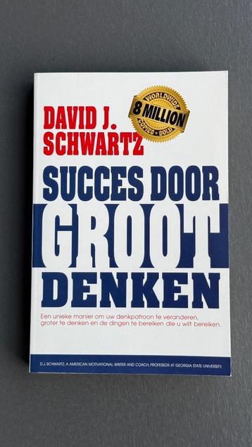 Succes door groot denken (David J. Schwartz) beschikbaar voor biedingen