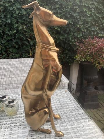 statig honden beeld windhond whippet greyhound goud kleur beschikbaar voor biedingen