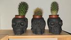Set van 3 Jesmonite skull bloempotjes mét cactussen, Huis en Inrichting, Ophalen