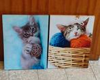 2 fotolijsten voor katten H 40 Cm L30Cm, Minder dan 50 cm, Ophalen of Verzenden, Zo goed als nieuw, Foto of Poster