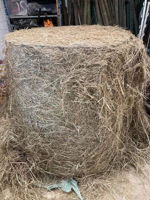 Hooi Voordroog te koop, Dieren en Toebehoren, Dierenvoeding, Overige soorten, Ophalen