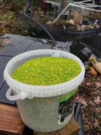 Pearls, Dieren en Toebehoren, Vogels | Overige Vogels