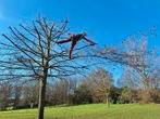 Elagage et abattage tout types d'arbres dangereux, Enlèvement ou Envoi