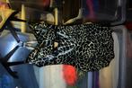 kleding dames, Kleding | Dames, Ophalen of Verzenden, Nieuw, Maat 36 (S)