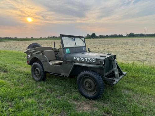 Ford GPW jeep(willys), juni 1944, Verzamelen, Militaria | Tweede Wereldoorlog, Ophalen of Verzenden