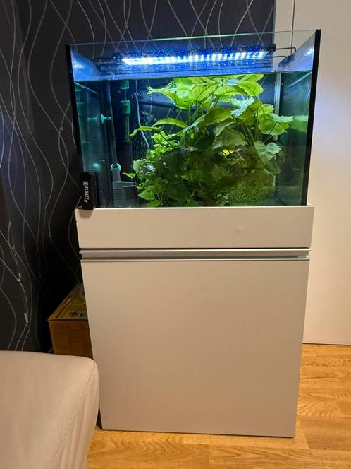 Aquarium 100 L met 15 tal corydoras, Dieren en Toebehoren, Vissen | Aquaria en Toebehoren, Gebruikt, Gevuld zoetwateraquarium