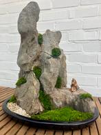 Rotspartij voor bonsai, met monnik, Enlèvement