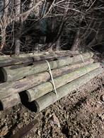 Paarden omhing voor een longeercirkel, Dieren en Toebehoren