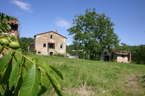 Belle propriété  et dépendances sur grand terrain, Immo, Étranger, Italie, Autres types, Campagne