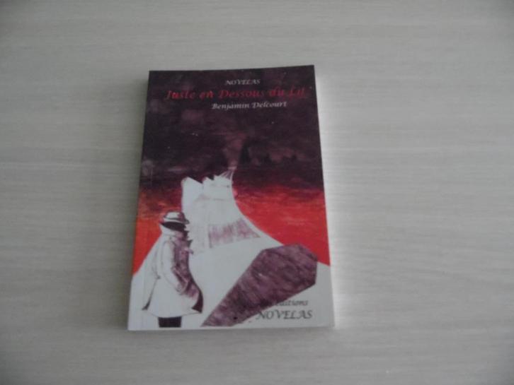 JUSTE EN DESSOUS DU LIT    BENJAMIN DELCOURT, Boeken, Romans, Zo goed als nieuw, België, Ophalen of Verzenden