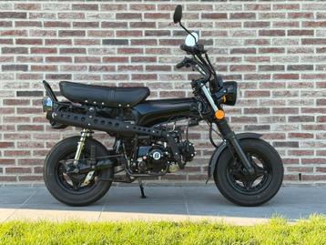 Nieuwe DAX 50cc - Bluroc beschikbaar voor biedingen