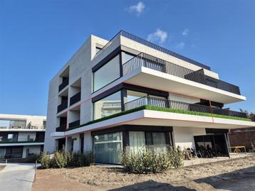 Appartement te huur in Arendonk, 1 slpk, Immo, Appartement, 1 kamers, 20 kWh/m²/jaar, 8142 m²