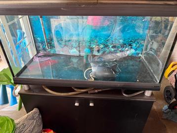 Cayman 300l, Animaux & Accessoires, Enlèvement, Comme neuf