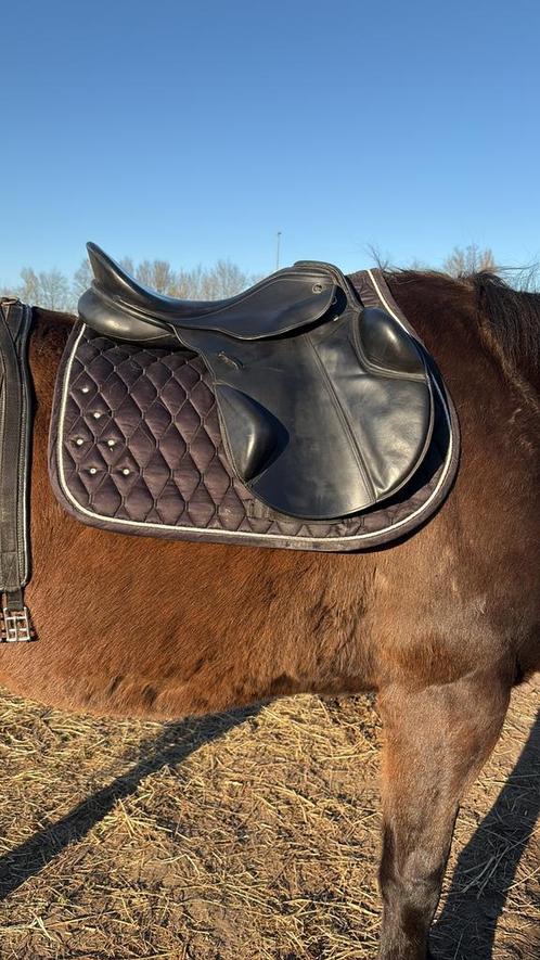 Springzadel kieffer norbert, Dieren en Toebehoren, Paarden en Pony's | Zadels, Zo goed als nieuw, Springen, Ophalen