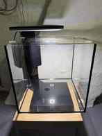 Aquarium superfish, Dieren en Toebehoren, Ophalen, Zo goed als nieuw, Leeg aquarium