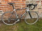 Koersfiets Scatto, Minder dan 10 versnellingen, Gebruikt, Heren, 53 tot 57 cm