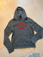 Trui abercrombie and fitch dames maat medium, Ophalen of Verzenden