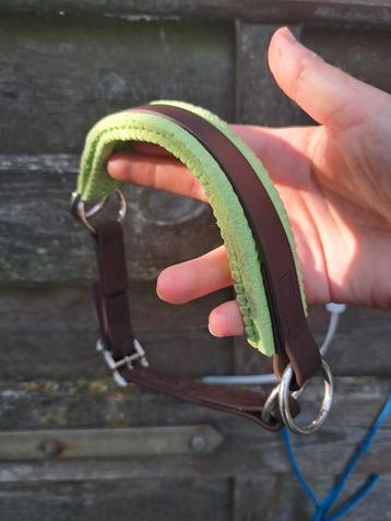 Bitloze biothane neusriem 2x en kaptoom mini.  beschikbaar voor biedingen