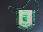 Vaantje RAA La Louvière, Verzamelen, Sportartikelen en Voetbal, Verzenden, Gebruikt, Vaantje of Sjaal