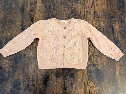 Gilet bébé 12 mois (74 cm) Next, Kinderen en Baby's, Babykleding | Maat 74, Zo goed als nieuw, Meisje, Ophalen