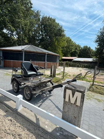 Zeer mooie German 16 inch koets beschikbaar voor biedingen