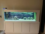 Aquarium met toebehoren, Dieren en Toebehoren, Ophalen, Zo goed als nieuw