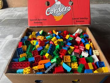 LEGO Duplo (1) beschikbaar voor biedingen